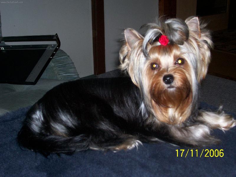 Foto: Bessy