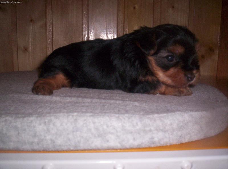 Foto: Ad�lka