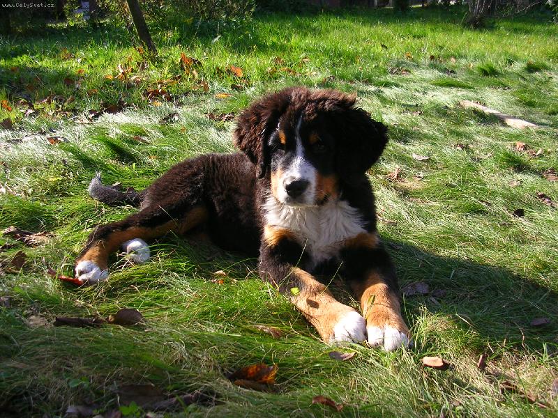 Foto: Sam