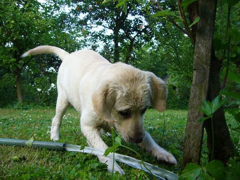 Foto: Moje hafinka