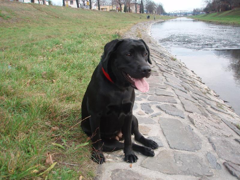 Foto: U vody