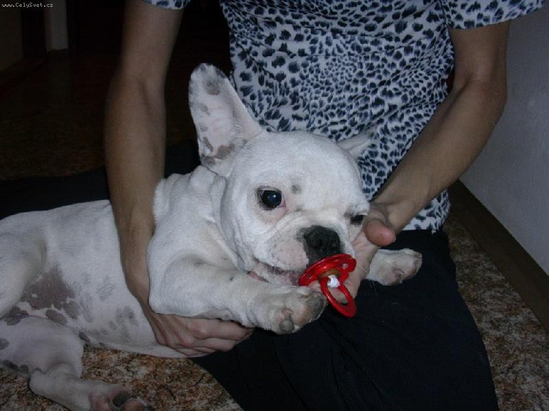 Foto: ORINKA