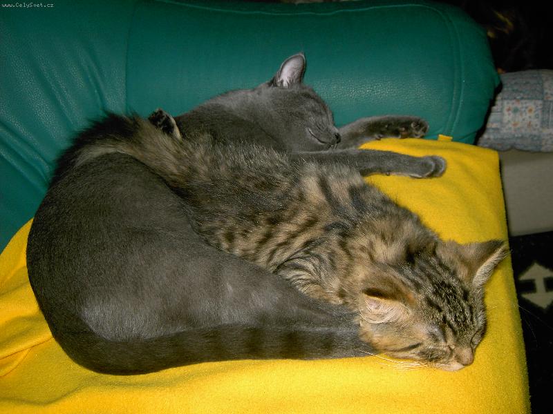 Foto: oliver