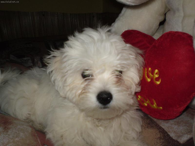 Foto: Monty