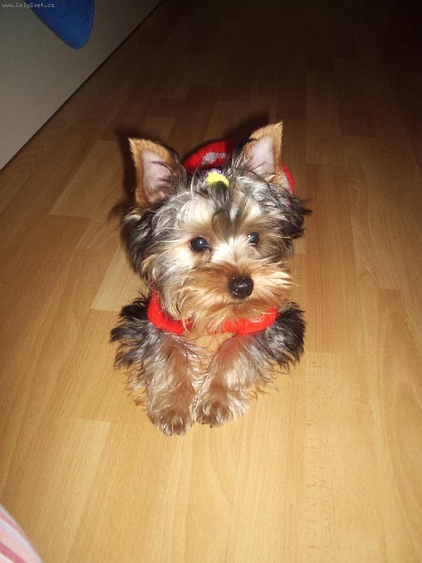 Foto: Deninek