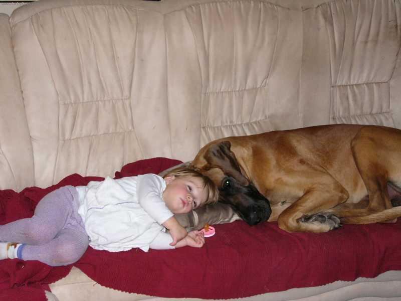 Foto: Enzo Rendog
