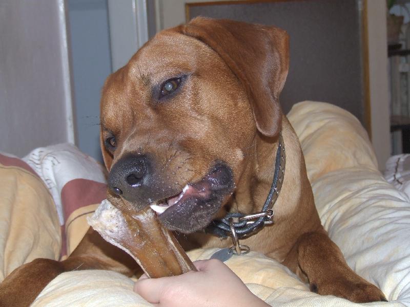 Foto: Max