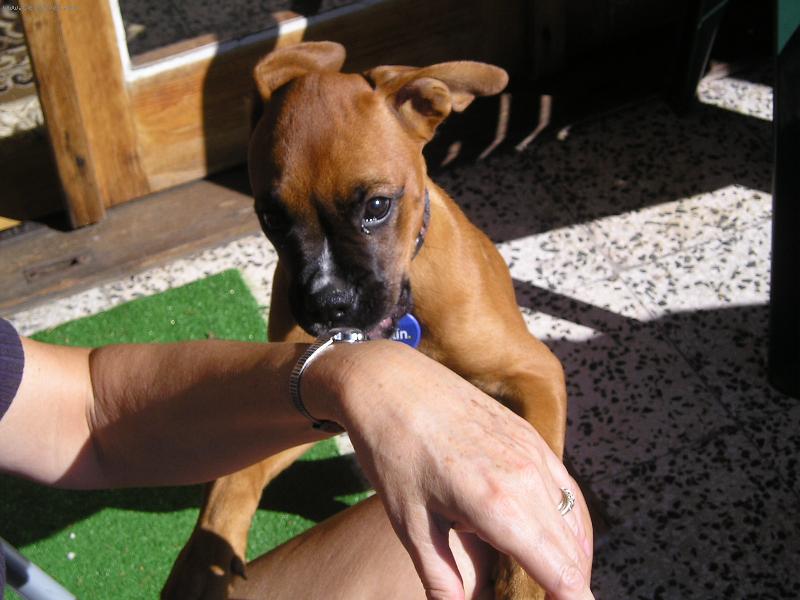 Foto: Zoe
