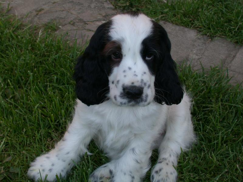 Foto: Charlie-:-)