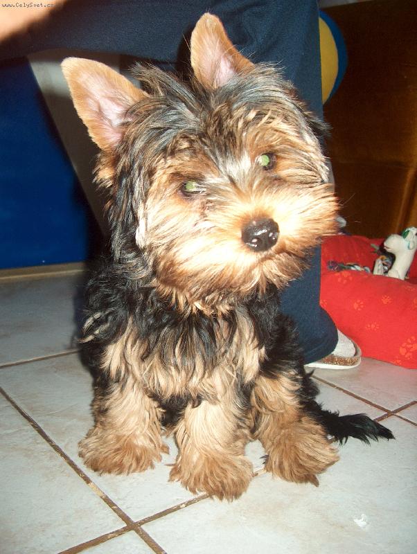 Foto: Jessy
