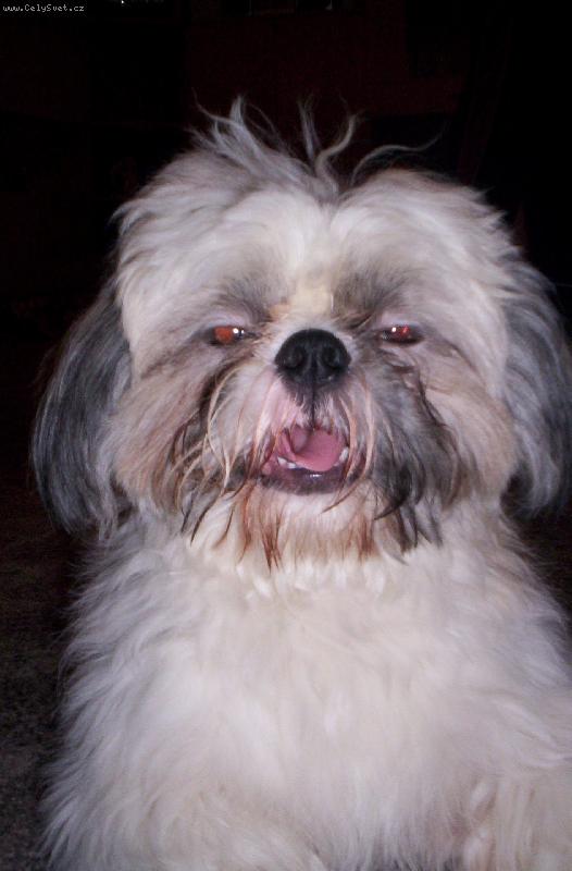 Foto: Bady