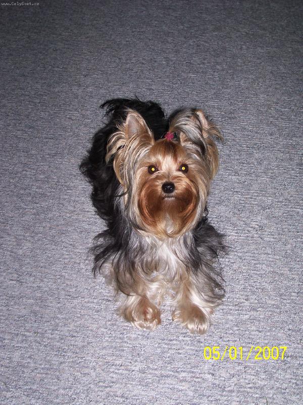 Foto: Bessy