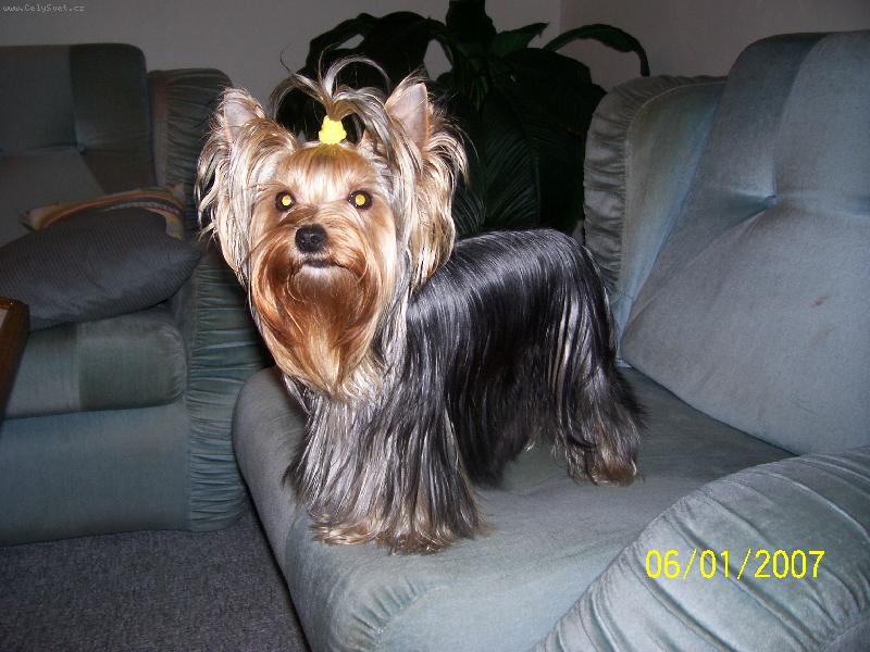 Foto: Bessy