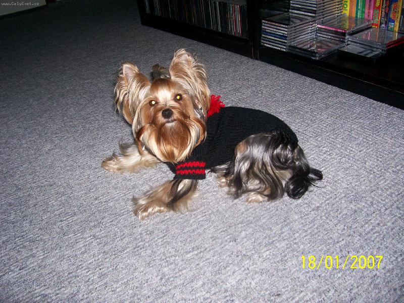 Foto: Bessy