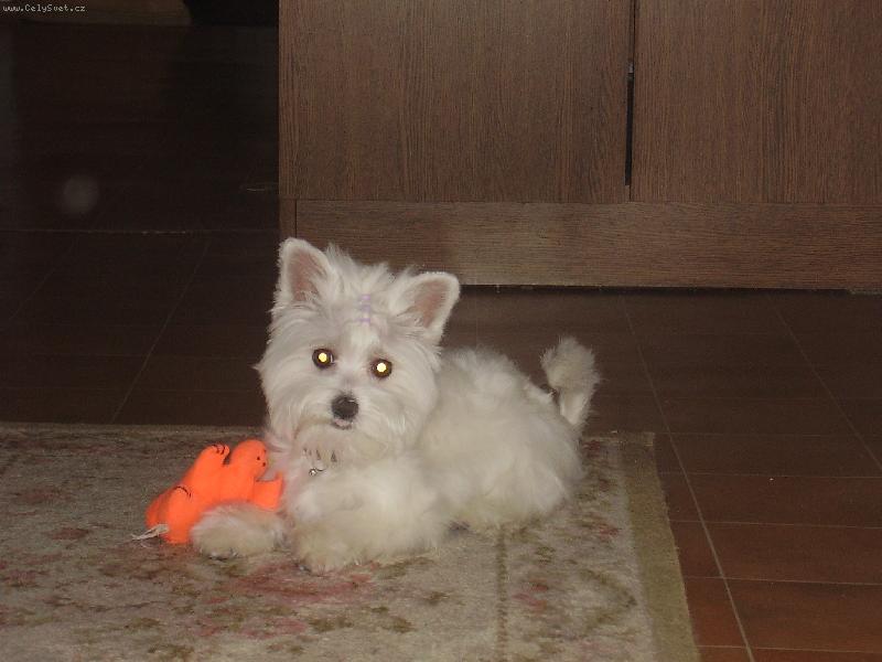 Foto: Mia