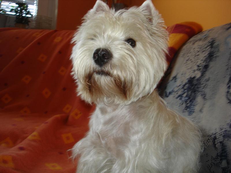 Foto: Casye