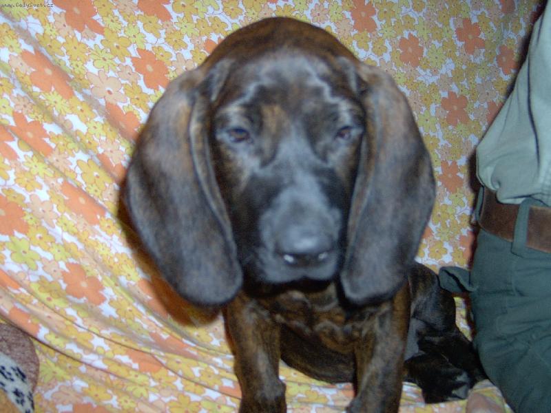 Foto: cita