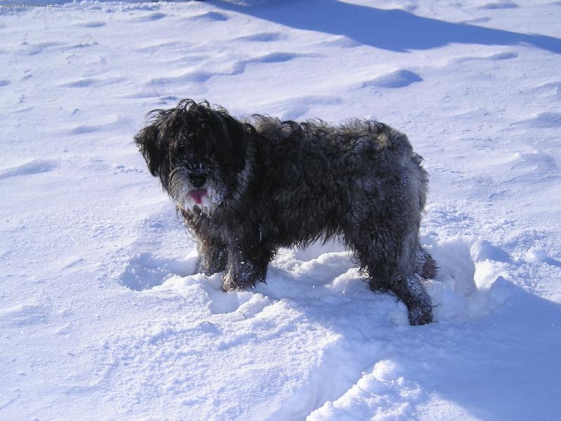 Foto: Kira