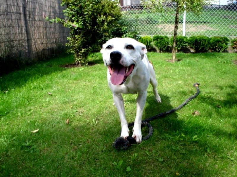 Foto: Perla-3 roky