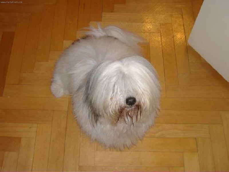 Foto: muj coton
