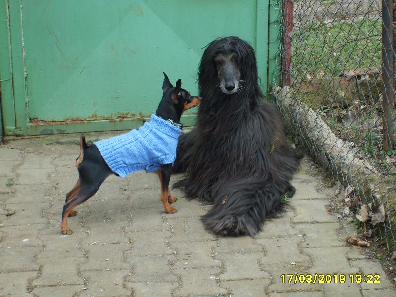 Foto: Den�sek
