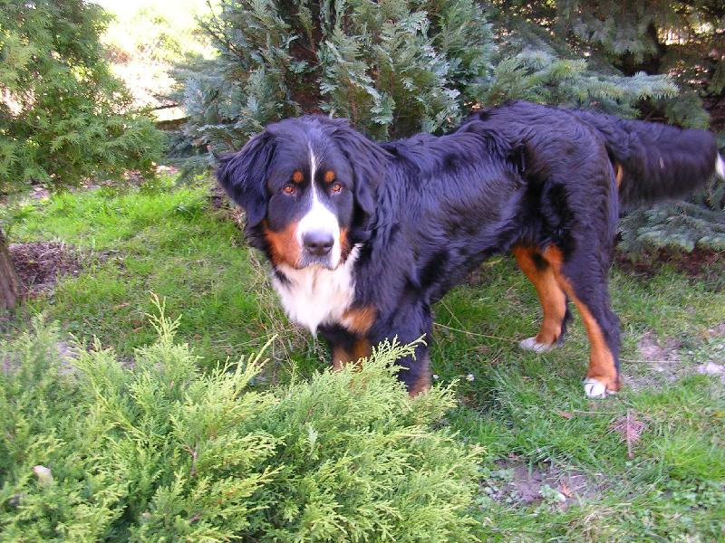 Foto: Max