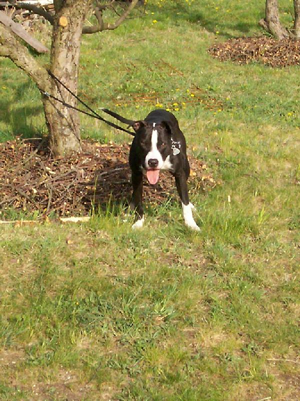 Foto: Odin-wrrr