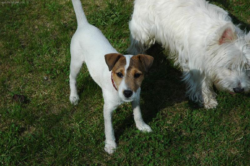 Foto: Rusty
