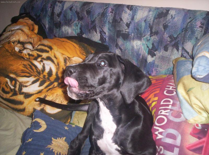 Foto: Charlie