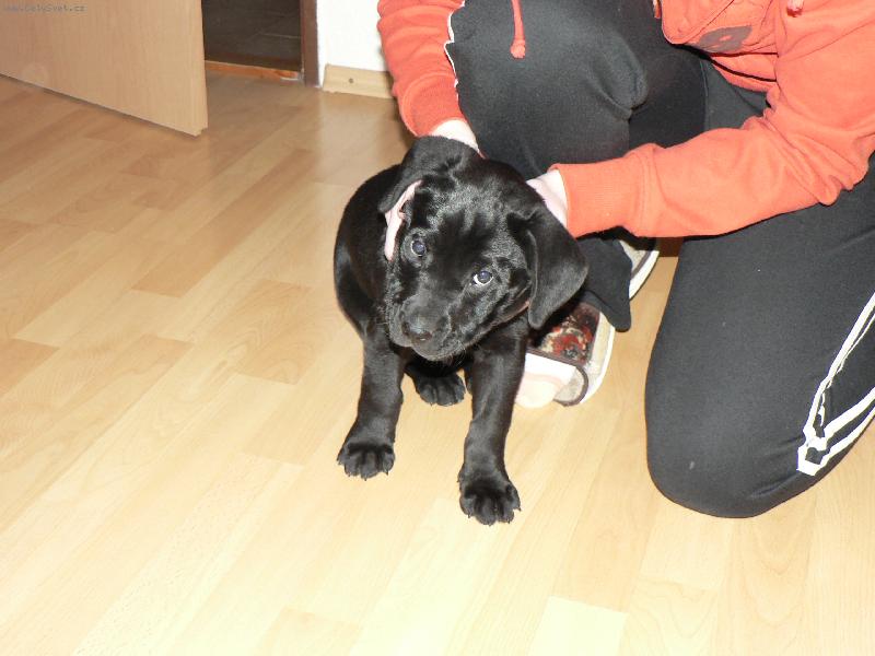 Foto: Bekynka