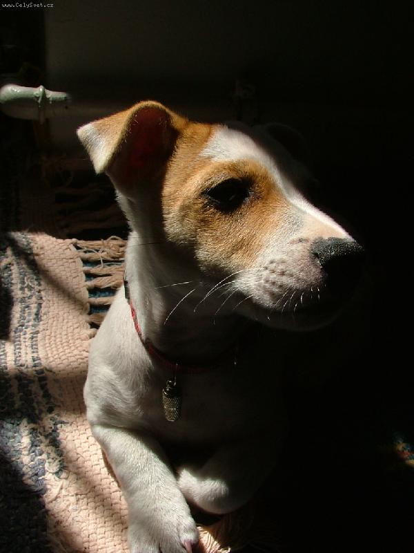 Foto: Tylda