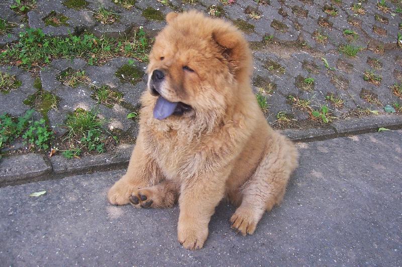 Foto: Kio