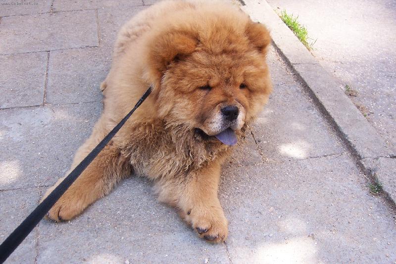 Foto: Kio