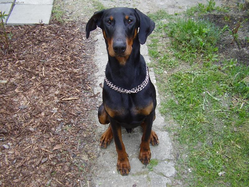 Foto: Max��ek