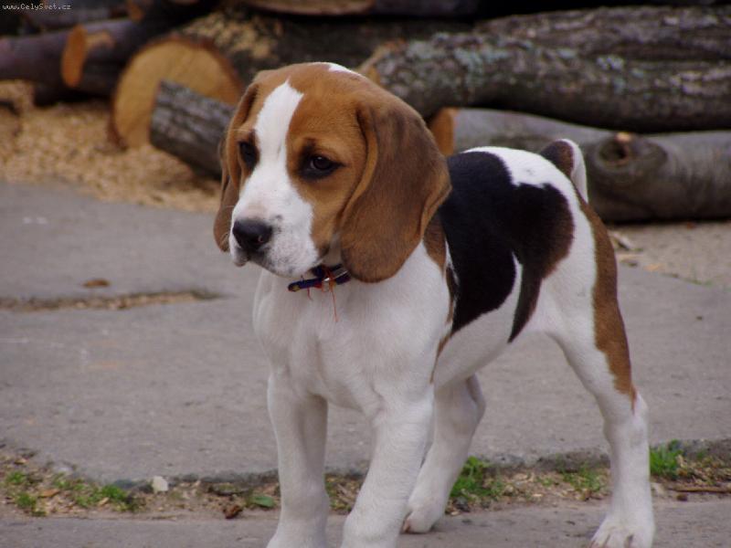Foto: Lucky02