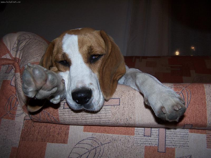 Foto: Lucky04
