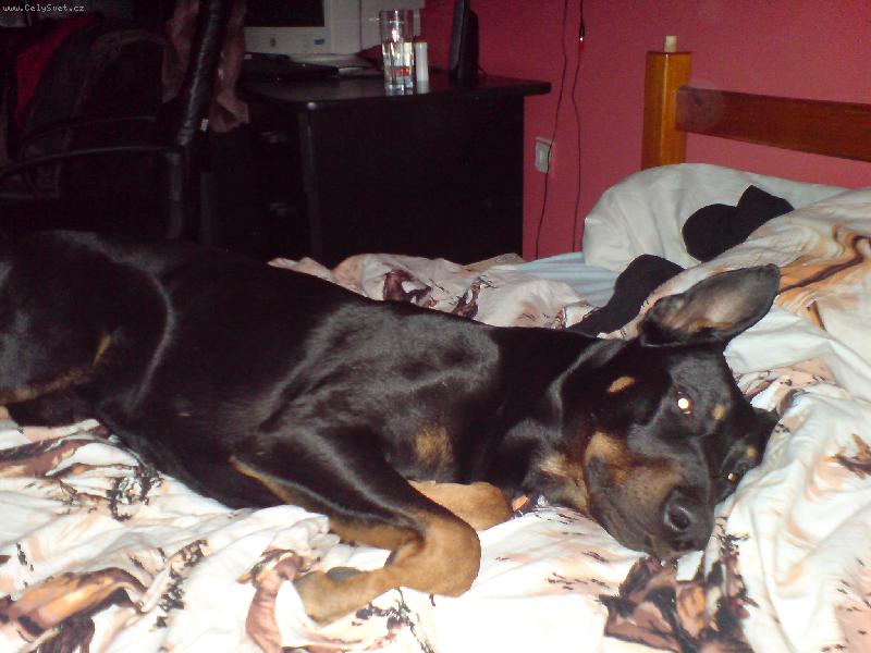 Foto: Diesel