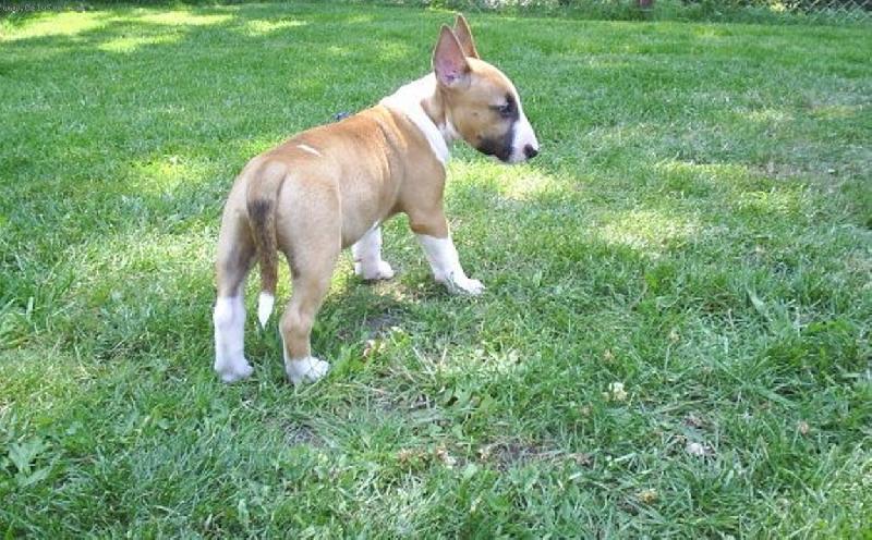 Foto: Gaston