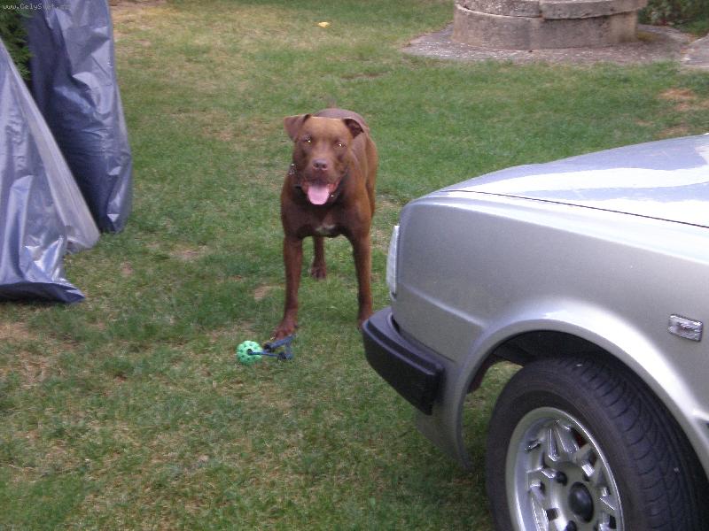 Foto: rocky