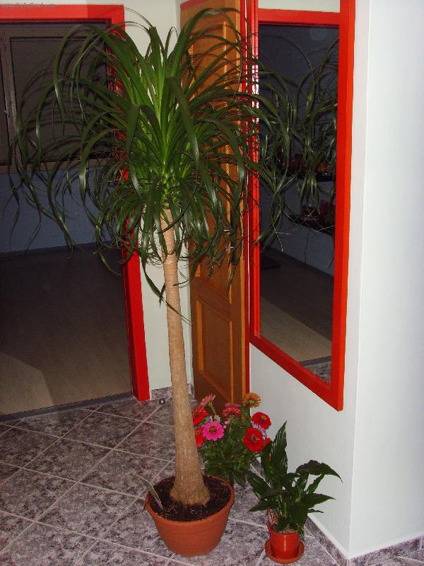 Foto: labka