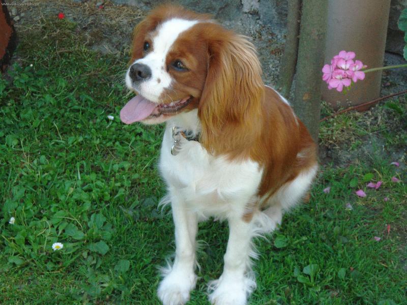 Foto: Lilinka