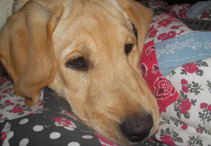 Foto: ...