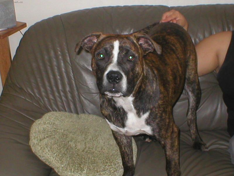 Foto: brut
