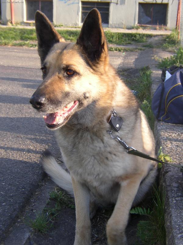 Foto: Britu�ka