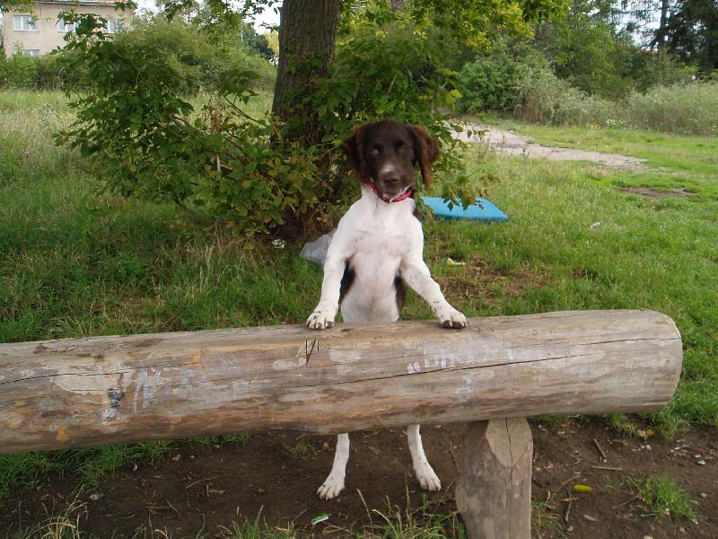 Foto: Monty
