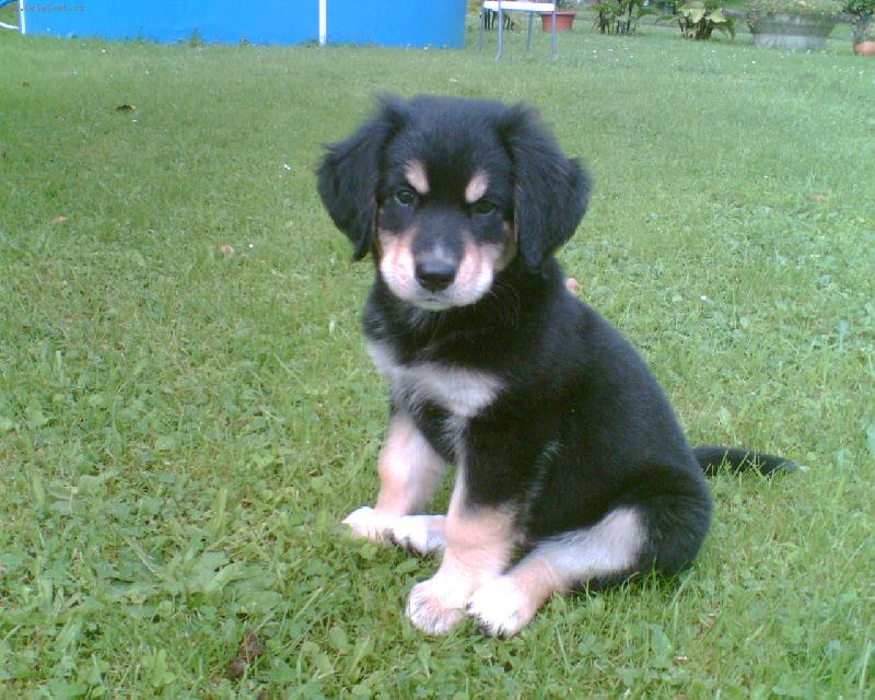 Foto: Akim