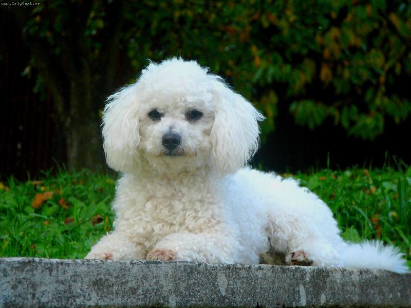 Foto: Danny