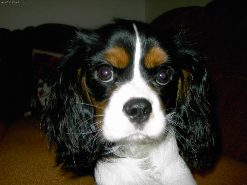 Foto: nelinka