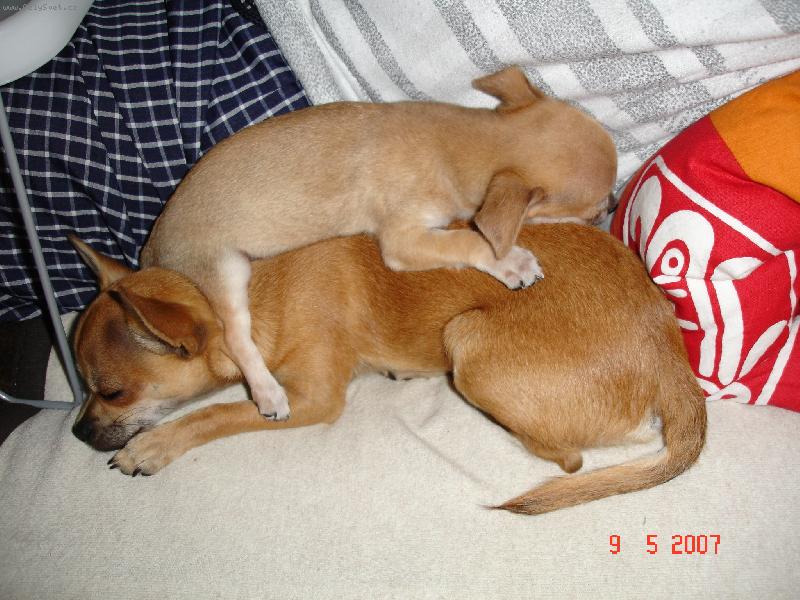 Foto: tuli tuli