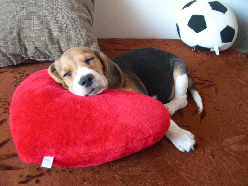 Foto: Max